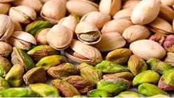 Iran annual Pistachio exports fetch over 1 billion dollars official says