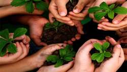 Iran aims to plant one billion trees to combat climate change, global warming