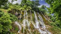 Northern, Zagros forests save billions cubic meters of water annually