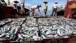 Fishery exports increase 6 percent in 8 months on year