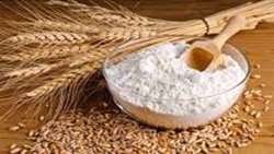 Iran ranks 13th biggest producer of wheat worldwide
