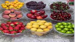 Iran tropical fruit production at 8.8m tons