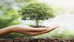 100k trees planted simultaneously in Iran breaking world record