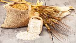 Iran annual wheat output estimated to rise by 30 percent, official says