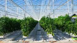 Iran second largest glass greenhouse inaugurated in Zanjan