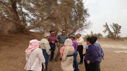 FRWO and China Expand Cooperation on Desertification Control