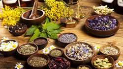 Ways to promote herbal medicine using nanotechnology explored 