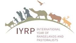 International Year of Rangelands and Pastoralists (IYRP) initiative