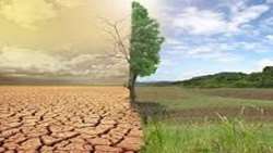 FAO outlines initiatives to tackle desertification and drought in Iran