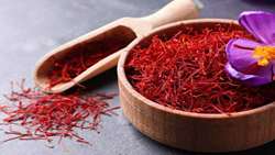 IME witnesses trade of 1,200 kg of Saffron in one month