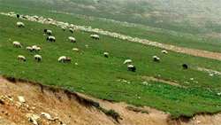 FRWO to Extend National Plan for the Protection and Conservation of Natural Resources