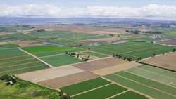 FRWO Completes Cadastre Mapping by October