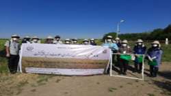 Crop mapping in Qazvin Irrigation Network in Iran