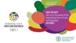 Join us for the launch of International Year of Fruits and Vegetables