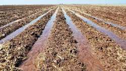 Improving the Organic matter of Agricultural Soils in IRAN