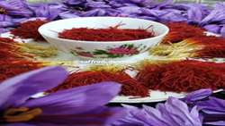 Iran anticipates saffron exports will soar in 2024
