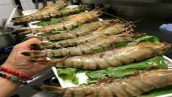 Iran farmed shrimp output exceeds 60K tons