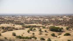 Iran developing novel mulching methods to combat desertification