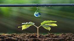 Traditional horticultural methods no longer effective, official warns