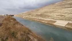 Boosting water productivity and improving water efficiency in Qazvin Irrigation Network in Iran despite the COVID-19 pandemic