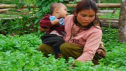 Hundreds of millions of family farmers in Asia-Pacific need help to ensure food security in the face of pandemic