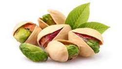 Germany, Spain top importers of Iranian pistachios in January-June 2023: Eurostat
