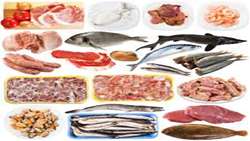 Increase the production and export of fishery products with the optimal use of capacities in the year of production leap
