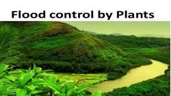 Strengthening vegetation is an important factor in reducing flooding