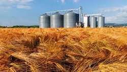 Iran total grain storage capacity largest in Mideast: Report