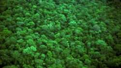 Green Climate Fund Readiness Programme in the Islamic Republic of Iran