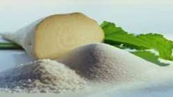 30,000 ha of land to go under sugar beet cultivation in new crop year