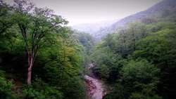 FRWO Utilizes Aerial Monitoring System of Hyrcanian Forests