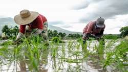 FAO Regional Conference for Asia-Pacific discusses responses and recovery work on COVID-19 and hunger