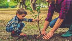 One Billion Trees Program to produce 4m tons of oxygen annually, official says
