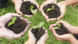 Iran to plant 1 billion trees to reduce carbon emissions