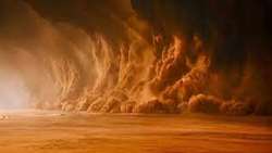 FAO calls for global action to combat dust storms at intl. conference in Tehran