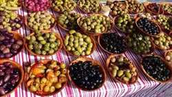 IOC hails Iran influential role in global olive market