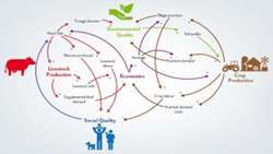 Knowledge-based agricultural production and marketing in the country