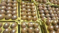 Iran exporting citrus fruits to China, kiwifruits to India, official says