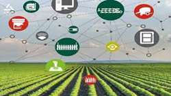 Official urges Iranian knowledge-based firms to help develop smart farming