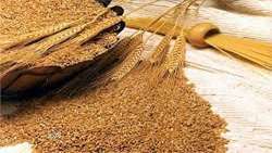 Govt. guaranteed wheat purchases reach 10m tons