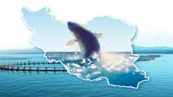 Fishery exports increase 32 percent in 5 months on year