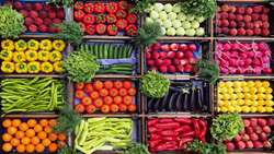 Ardebil province exports 90 percent of greenhouse products