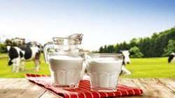 Annual production of 11 million tons of raw milk in the country