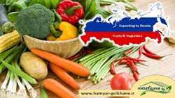 Iran delivers over 4,700 tons of Iran greenhouse products to Russia in 3 months