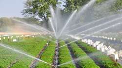 Tehran leads Iran in modern irrigation adoption