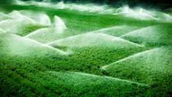 Development of 185,000 hectares of new irrigation systems this year in Iran