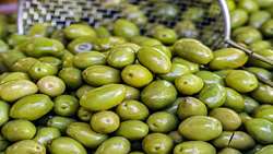 Formation of National Olive Waste Management in Iran