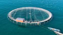 Iran launches its largest mobile fish farm in Golestan province