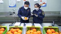 China receives first ever shipment of Iranian oranges